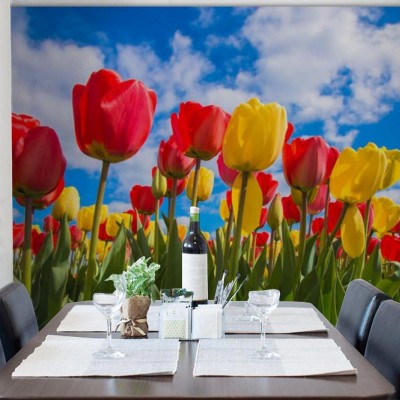 Fototapety kwiaty tulipanów