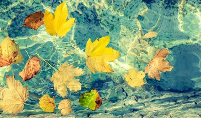 fotolia-94691307-subscription-monthly-xxl