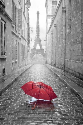 fotolia-65130682-subscription-monthly-xxl