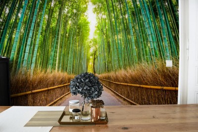 Fototapeta Bambusowy Las w Kioto, Japonia