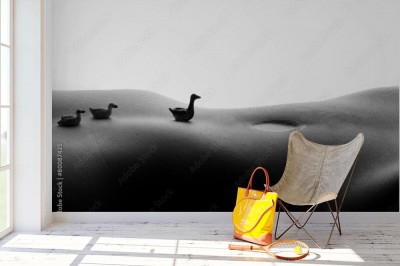 Fototapeta BODYSCAPE