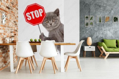 Fototapeta Kot wgląd ze znakiem „stop”  Pojedynczo na białym tle