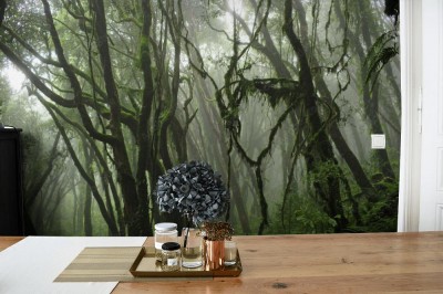 Fototapeta Mroczna Dżungla Nepalu