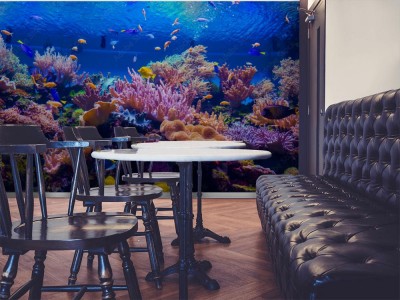 Fototapeta Tropikalna ryba na rafie koralowej