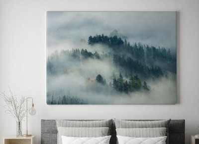 Obraz na płótnie do sypialni - Las we mgle