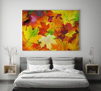 Obraz na płótnie Tło z jesiennych kolorowych liści