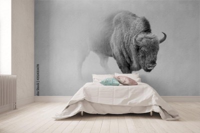 Fototapeta Bizon wychodzący z mgły