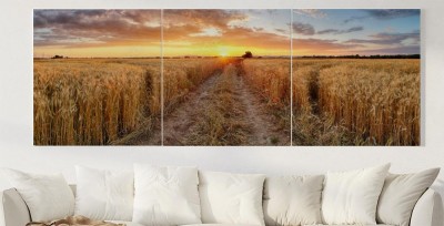 Obraz na płótnie Pole pszenicy o zachodzie słońca
