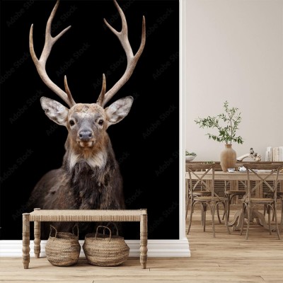 Fototapeta Jeleń na ciemnym tle