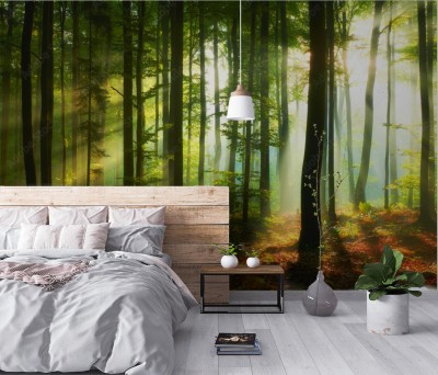 Fototapeta Piękny poranek w lesie