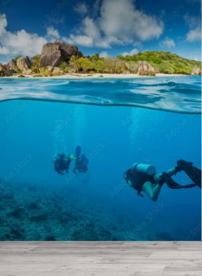 Fototapeta Pod powierzchnią na Seszelach