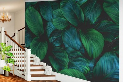 Fototapeta Ciemnozielony wzór liści