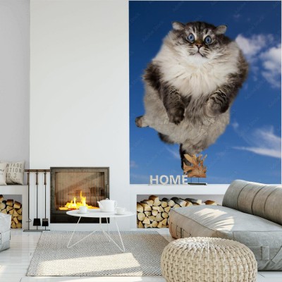 Fototapeta Gruby śmieszny syberyjski kot lata w chmurach