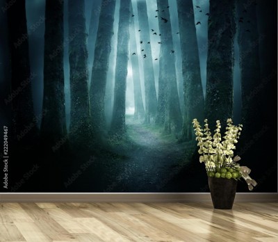 Fototapeta Ścieżka przez ciemny las