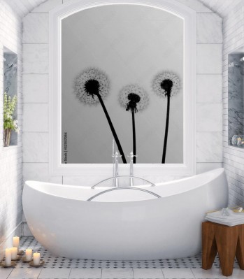 Naklejka na okno łazienkowe Sylwetka dmuchawców czarno-białe