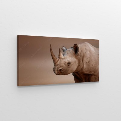 czarny-nosorozec-portret