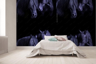 Fototapeta Dwa konie