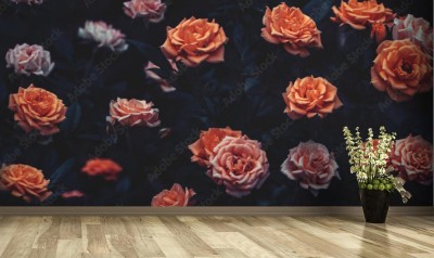 Fototapeta Jasne róże z czarnymi liśćmi na czarnym tle