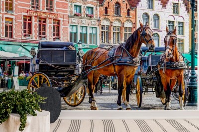 konie-i-powozy-na-glownym-placu-w-brugii-w-belgii