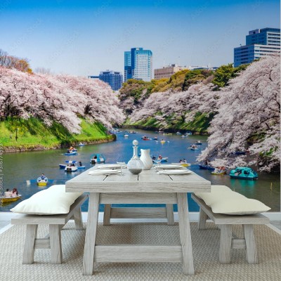 Fototapeta Pałac Cesarski z kwitnącymi kwiatami wiśni