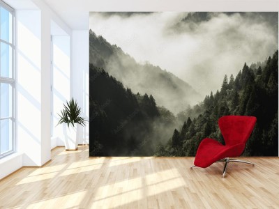 Fototapeta Wysoka góra porośnięte lasem w gęstej mgle