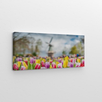 tlo-z-kwiatow-tulipanow