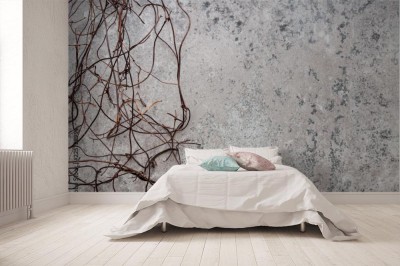 Fototapeta Betonowa ściana porośnięta bluszczem