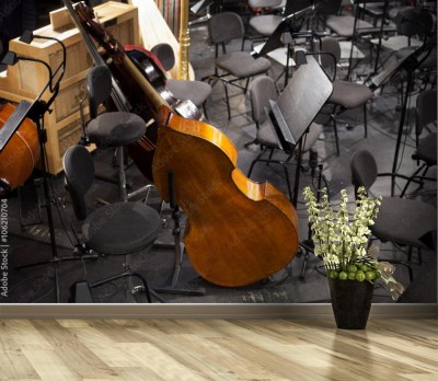 Fototapeta Instrumenty muzyczne podczas przerwy 