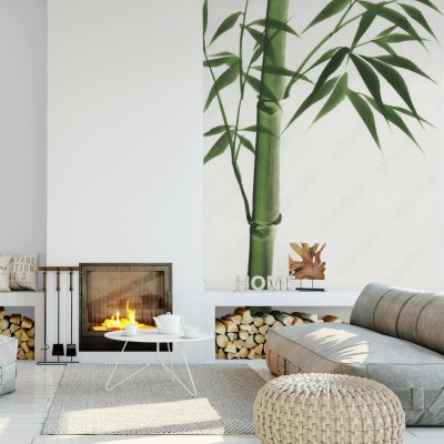 Fototapeta Pęd bambusa