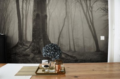 Fototapeta Stare drzewo w upiornym lesie