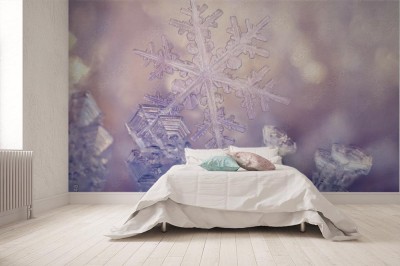 Fototapeta Zimowe Kwiaty