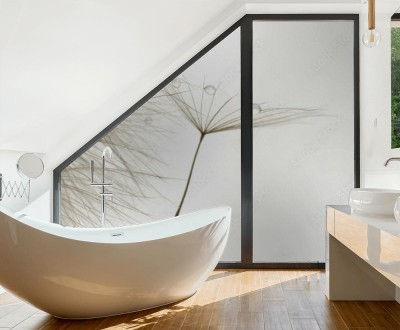 Naklejka na okno łazienkowe Makrofotografia parasola dmuchawca