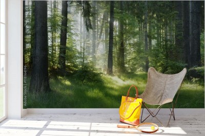 Fototapeta Naturalny las świerkowy