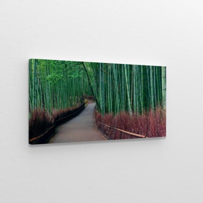 bambusowy-gaj-3d