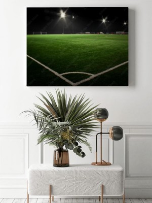 Obraz na płótnie Boisko piłkarskie