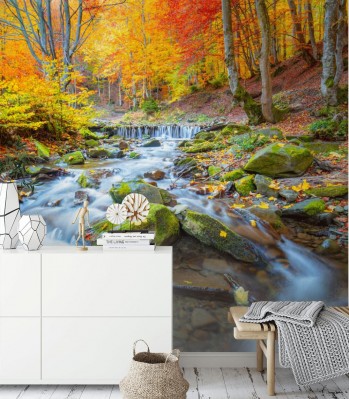 Fototapeta Kolorowy jesienny krajobraz