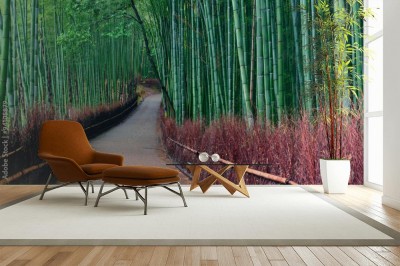 Fototapeta Bambusowy Gaj 3D
