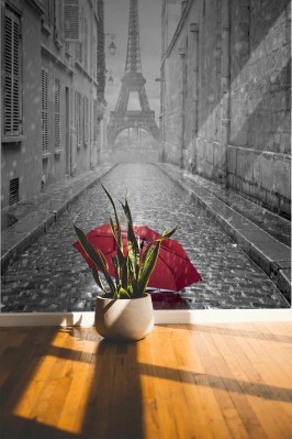 Fototapeta fotolia-65130682-subscription-monthly-xxl