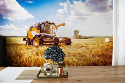 Fototapeta Kombajn