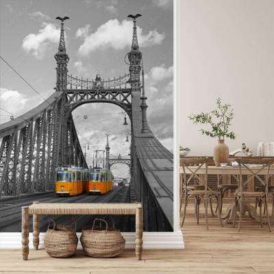 Fototapeta Most wolności w Budapeszcie