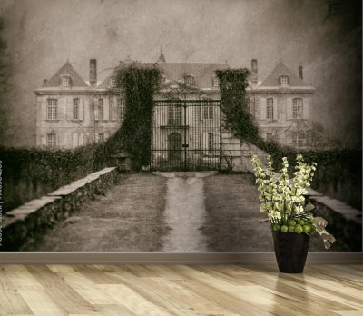 Fototapeta Opuszczony dwór