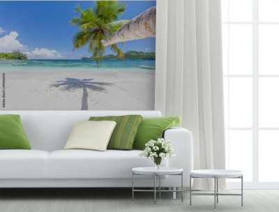 Fototapeta Palma kokosowa na plaży Seszeli w Mahé