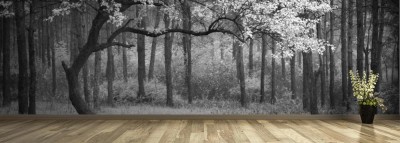 Fototapeta Taniec jesieni  Monochromatyczne ujęcie