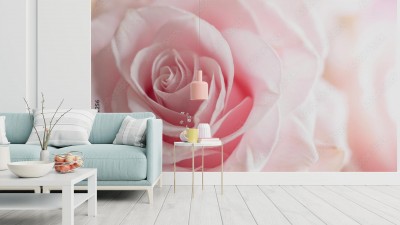 Fototapeta Zamknięty kwiat róży