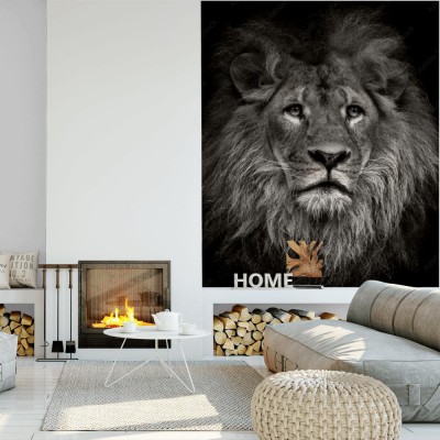 Fototapeta Arogancki lew