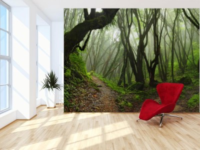 Fototapeta Las tropikalny