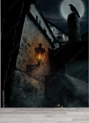 Fototapeta Zamek w świetle księżyca