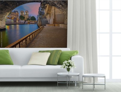 Fototapeta Katedry Notre-Dame z brzegu Sekwany w Paryżu