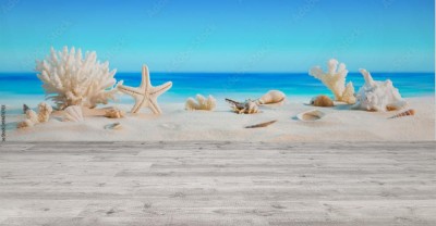 Fototapeta Krajobraz z muszelek na tropikalnej plaży - letnie wakacje