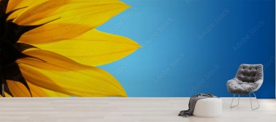 Fototapeta Słonecznik na błękitnym gradiencie